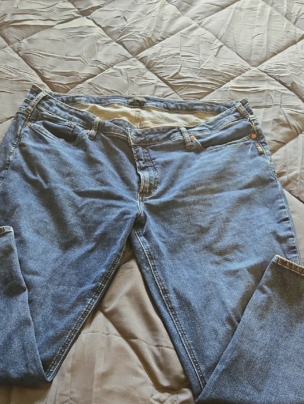 Silver Jeans Straight Leg Denim in Blue Wash